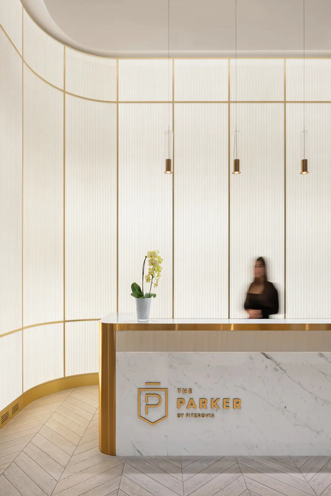Parker — photo 4